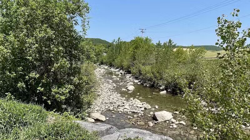 Cobleskill Creek Trail - Richmondville, NY