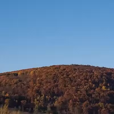 Cobleskill Creek Trail - Richmondville, NY