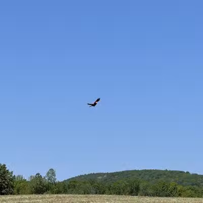 Cobleskill Creek Trail - Richmondville, NY