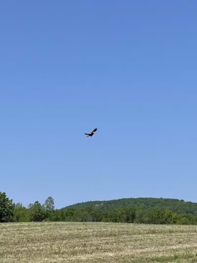 Cobleskill Creek Trail - Richmondville, NY