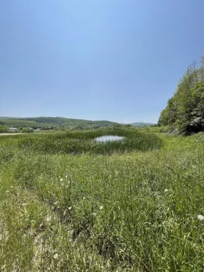 Cobleskill Creek Trail - Richmondville, NY
