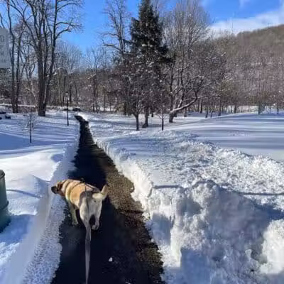 Richmondville community park - Richmondville, NY