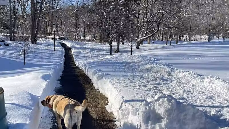 Richmondville community park - Richmondville, NY