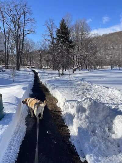 Richmondville community park - Richmondville, NY