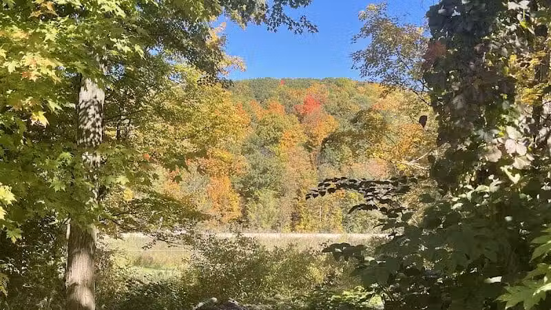 Richmondville community park - Richmondville, NY