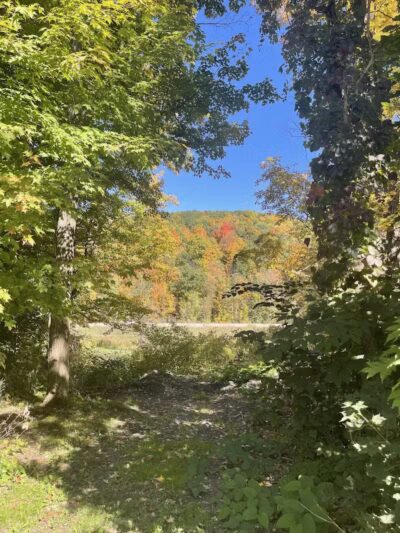 Richmondville community park - Richmondville, NY