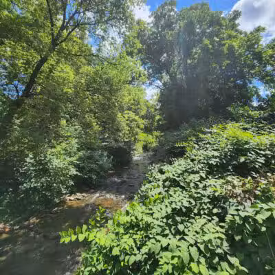 Richmondville community park - Richmondville, NY