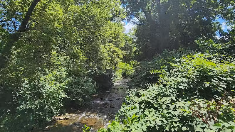 Richmondville community park - Richmondville, NY