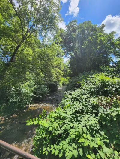 Richmondville community park - Richmondville, NY