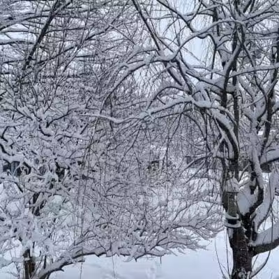 Richmondville community park - Richmondville, NY