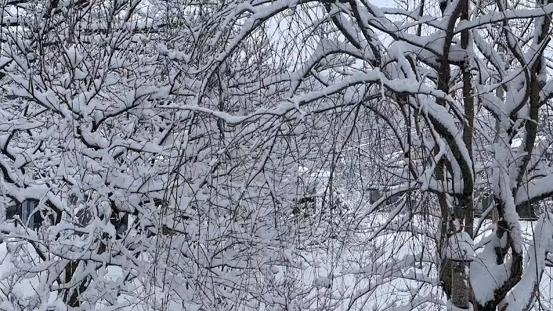 Richmondville community park - Richmondville, NY