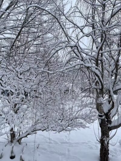 Richmondville community park - Richmondville, NY