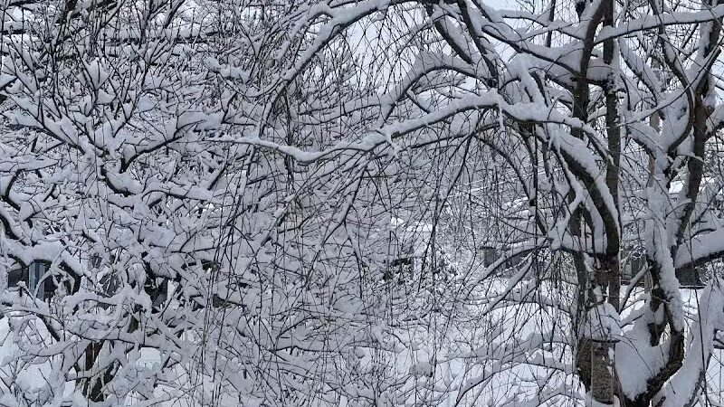 Richmondville community park - Richmondville, NY