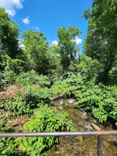 Richmondville community park - Richmondville, NY