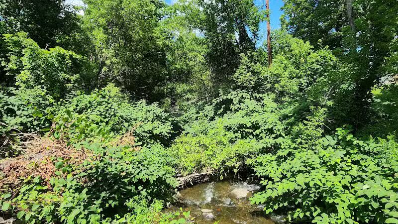 Richmondville community park - Richmondville, NY