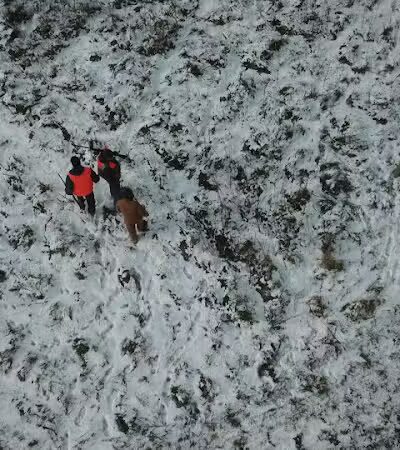 Harding Gamebirds - Ridgeway, MO