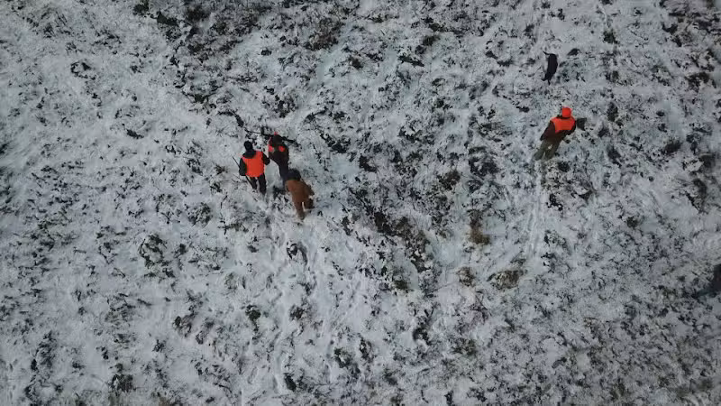 Harding Gamebirds - Ridgeway, MO