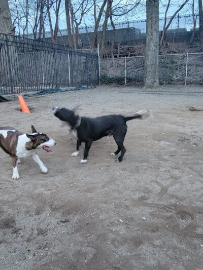 Joseph F. Mafera Park - Ridgewood, NY