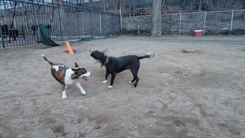 Joseph F. Mafera Park - Ridgewood, NY