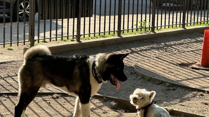 Joseph F. Mafera Park - Ridgewood, NY