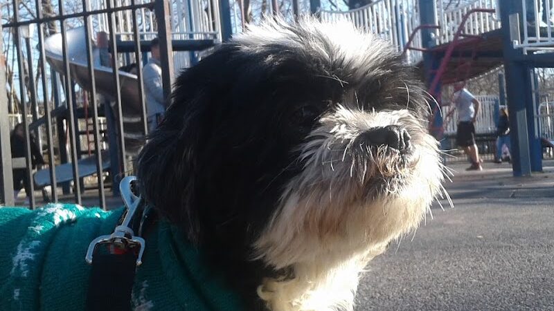 Joseph F. Mafera Park - Ridgewood, NY