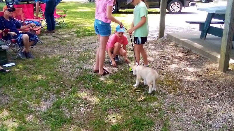 Ridgway Park - Ridgway, IL