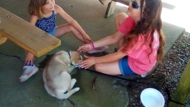 Ridgway Park - Ridgway, IL