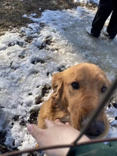 Ripon Dog Park - Ripon, WI