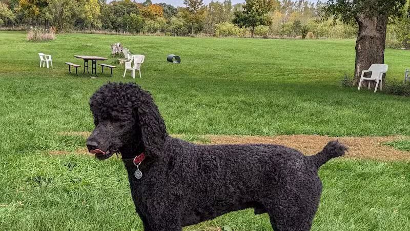 Ripon Dog Park - Ripon, WI