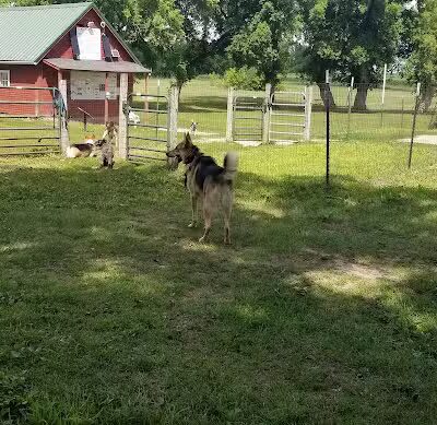 Ripon Dog Park - Ripon, WI