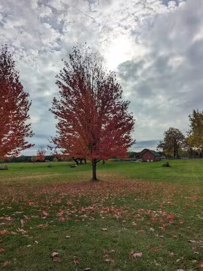 Ripon Dog Park - Ripon, WI