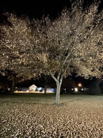 Roanoke Park - Roanoke, IL