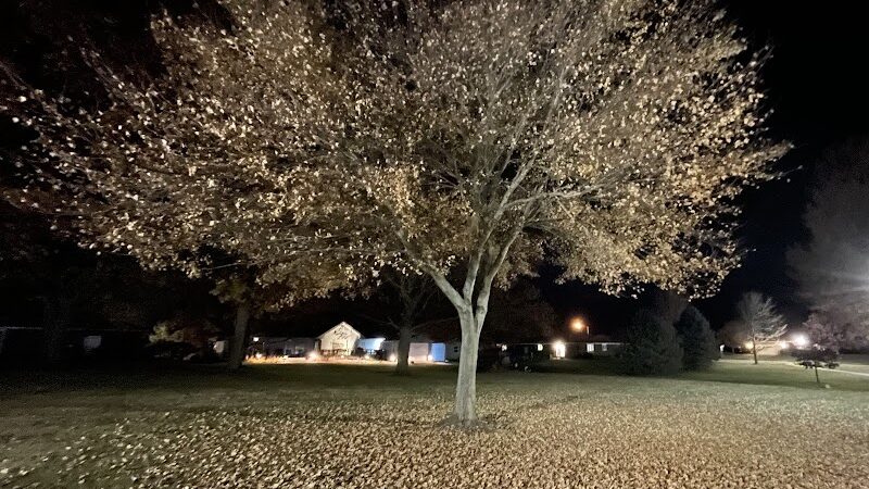 Roanoke Park - Roanoke, IL