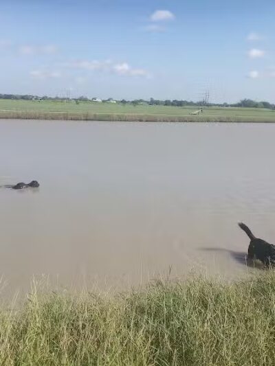 Nueces County North Park - Robstown, TX