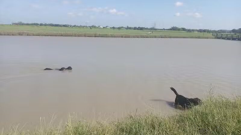 Nueces County North Park - Robstown, TX