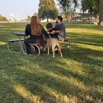 Bark Park - Rochelle, IL