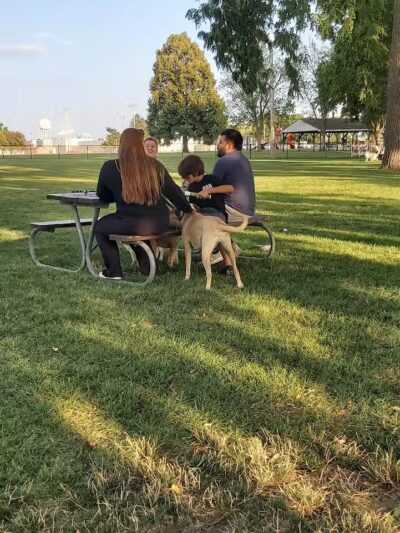 Bark Park - Rochelle, IL