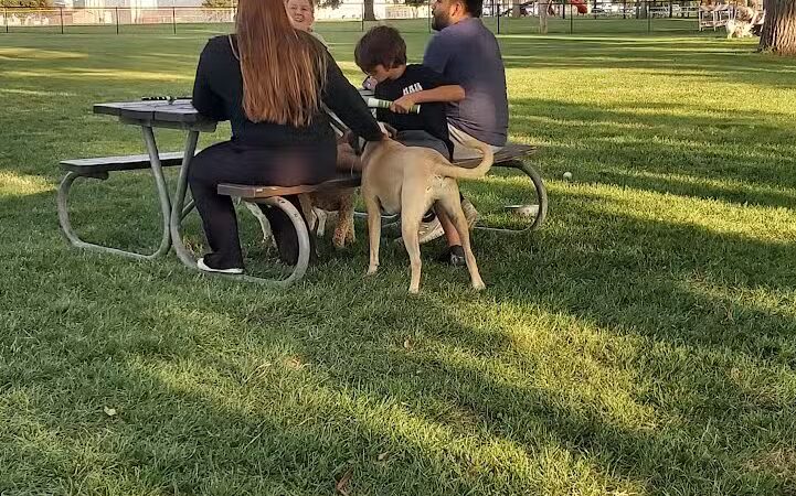Bark Park - Rochelle, IL