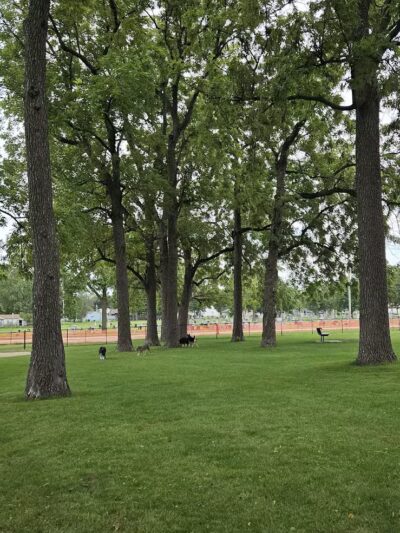 Bark Park - Rochelle, IL