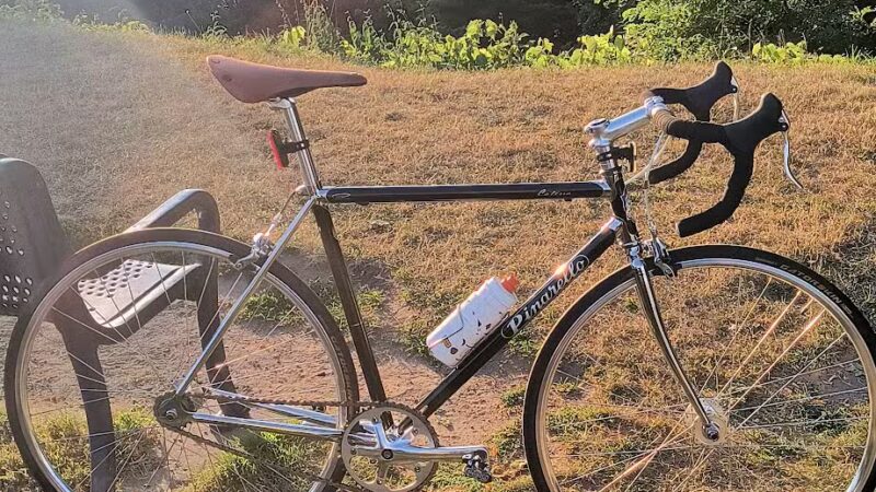 Cobbs Hill Park - Rochester, NY