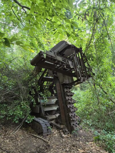 Corbett's Glen Nature Park - Rochester, NY