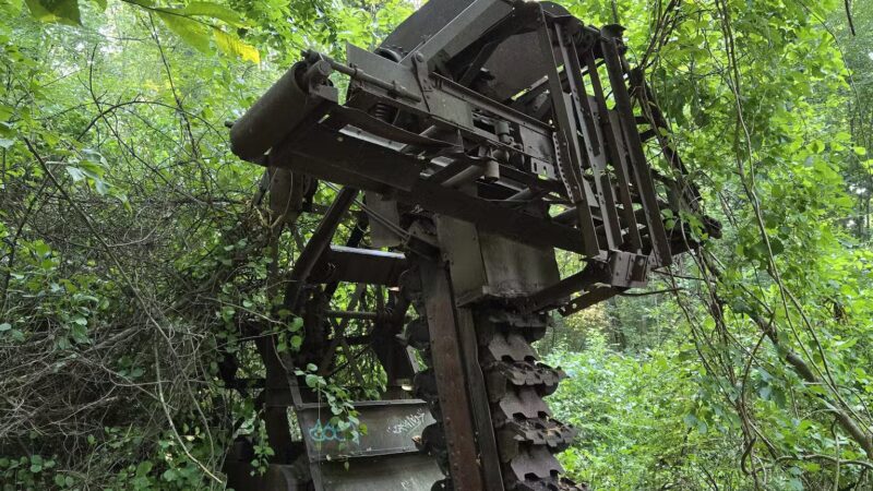 Corbett's Glen Nature Park - Rochester, NY
