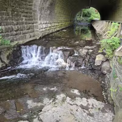 Corbett's Glen Nature Park - Rochester, NY