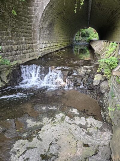 Corbett's Glen Nature Park - Rochester, NY