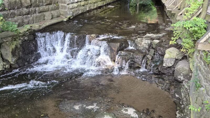 Corbett's Glen Nature Park - Rochester, NY