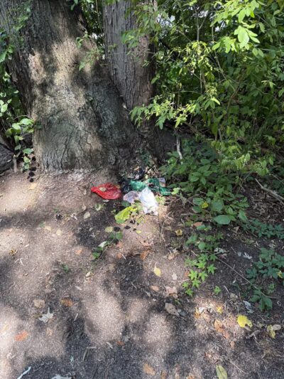 Corbett's Glen Nature Park - Rochester, NY