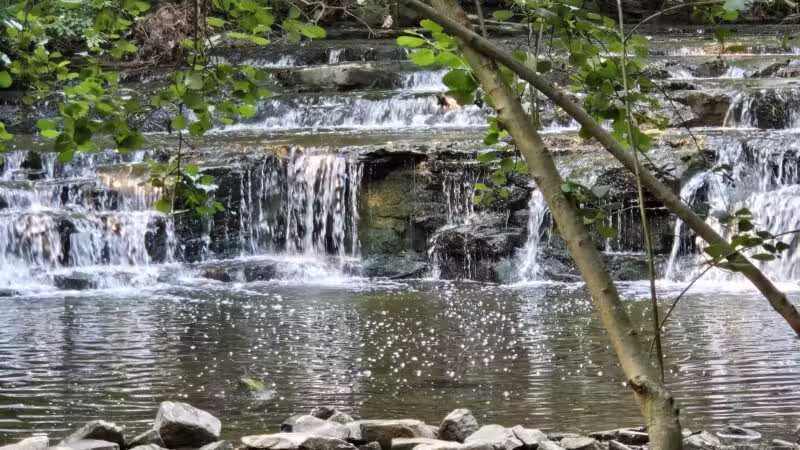 Corbett's Glen Nature Park - Rochester, NY