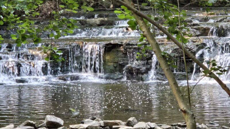 Corbett's Glen Nature Park - Rochester, NY