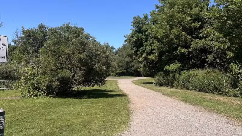 Ellison Dog Park - Rochester, NY