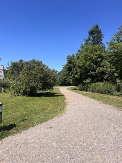 Ellison Dog Park - Rochester, NY